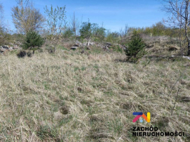 Działka budowlana w Zaborze na sprzedaż!!!